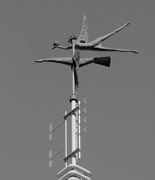 PA260444