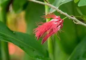 PA110497