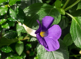 PA110590