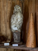 P9089870