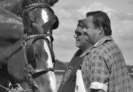 Love-of-Horses