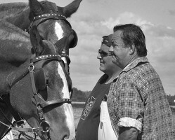 horsemen