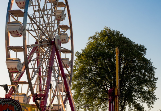 Metcalfe-Fair