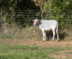 PA050353