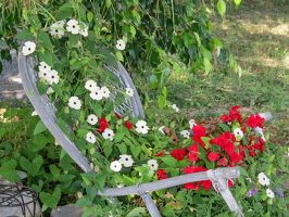 IMG 0430