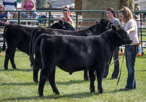 P9210160