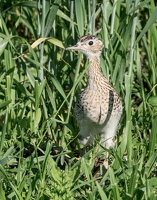 P6308610