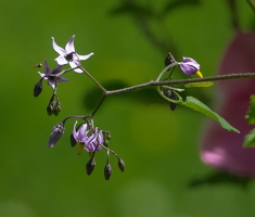 P6308598