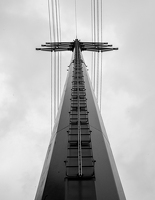 IMG 4186
