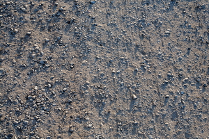 IMG 4695
