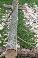IMG 4504