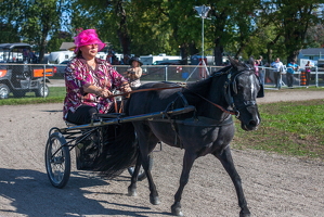 IMG 4615