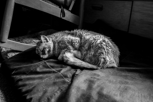 DSCF0058