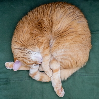 P2100708
