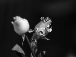 EM122759