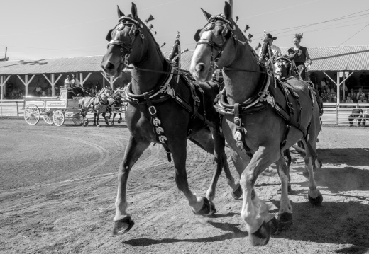 Metcalfe Fair 2024