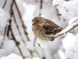 EM124368-2