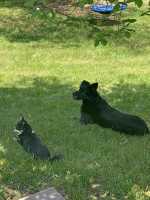 IMG-20250603-WA0000