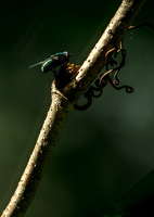 P7044460