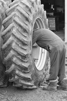 tires 2012-04