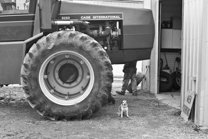 tires 2012-09