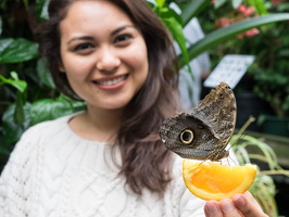 Carleton-Butterflies-007