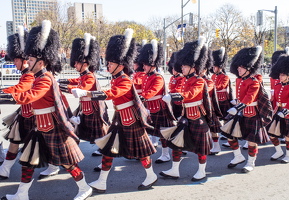 Rembrance Day 2014-46