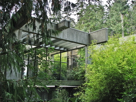 IMG 1186-cm