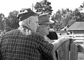 talking about horses