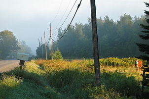 2003-03