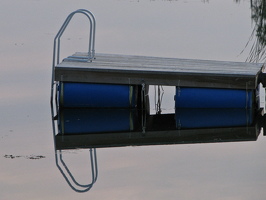 2007 misc-21