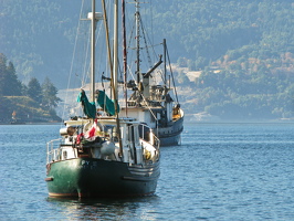 2007 misc-48