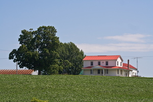 2008 misc-16