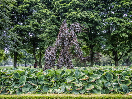 Toronto-2013-48