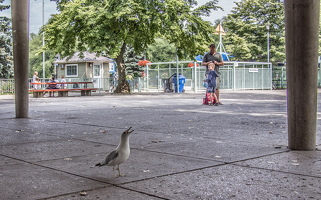 Toronto-2013-56
