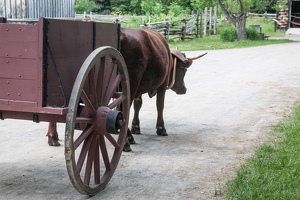 Upper Canada Village-032